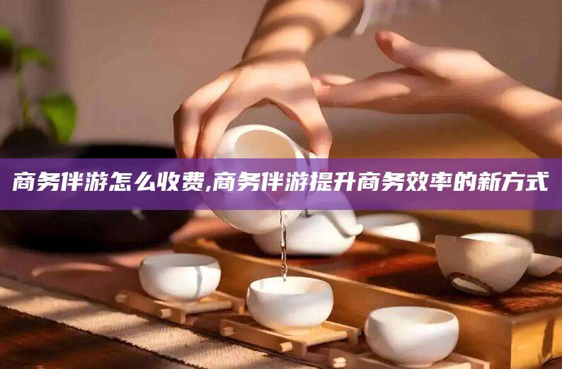商务伴游怎么收费,商务伴游提升商务效率的新方式